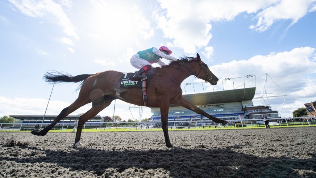 九月錦標，成全寶壯行戰大勝而回