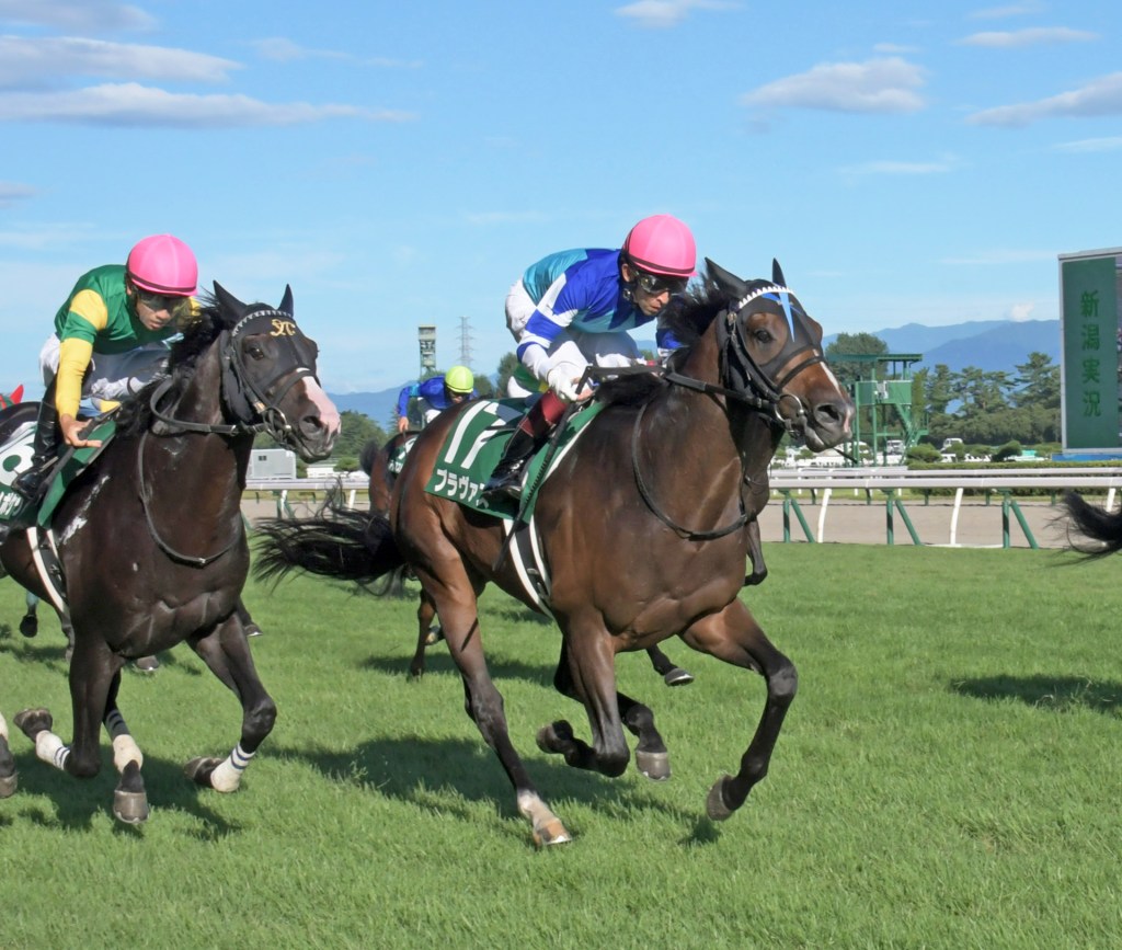 新潟紀念賽，極峰之子Bravas找出機會