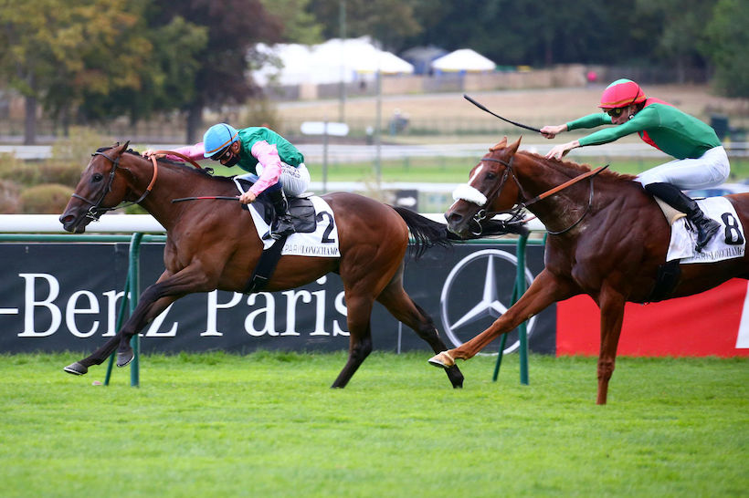 凱旋門大賽低調參戰馬埃及法老