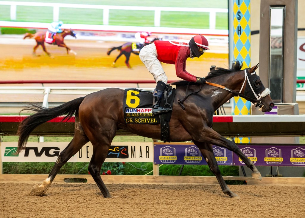 金莎軒錦標美國總大將Dr. Schivel