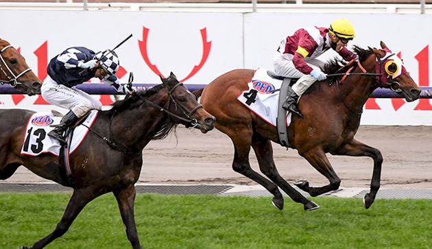 戴花錦標,Fierce Impact取下定磅一級賽勝利