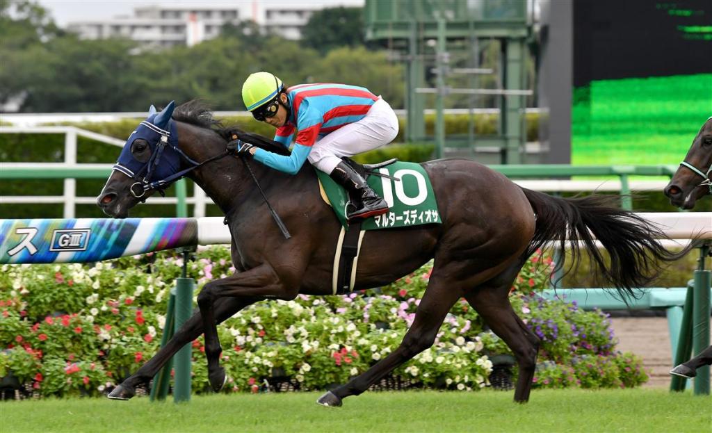 紫苑錦標,馬國女神擺脫陰霾再次贏馬