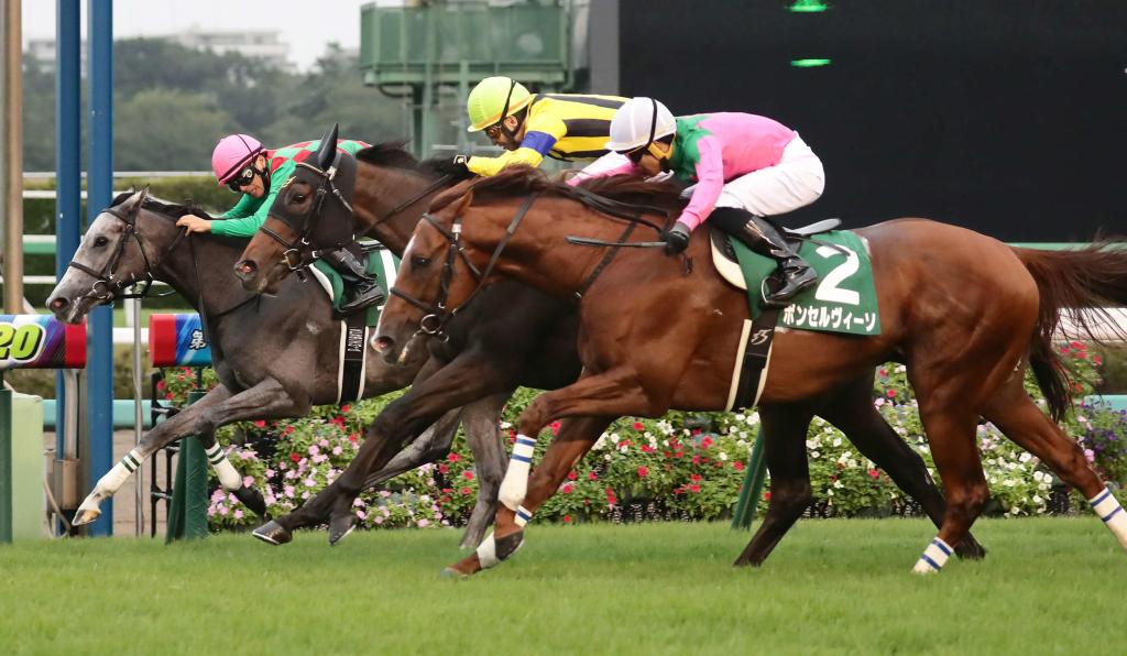 每日賽馬晚報（2020年9月13日），育馬者盃兩大宣佈，日本騎師贏加拿大三冠大賽首關