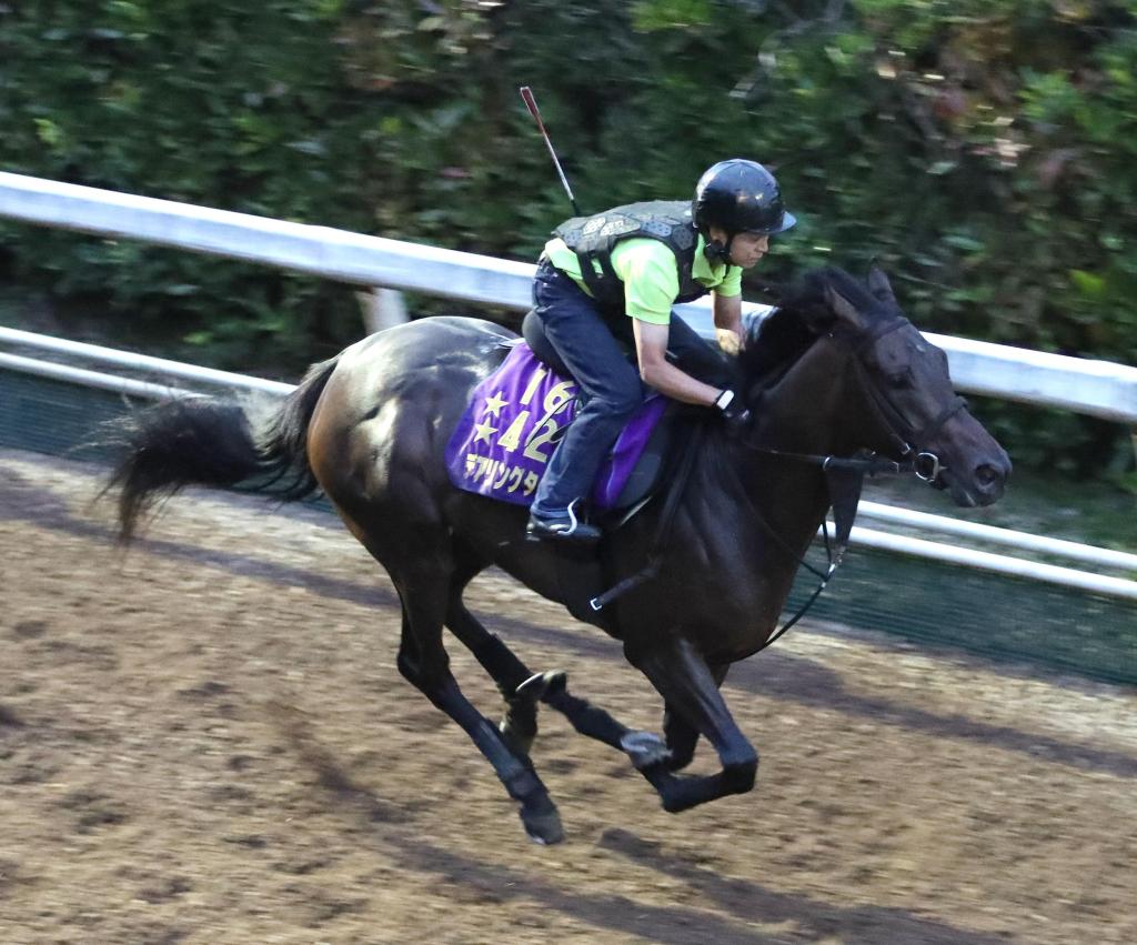 每日賽馬晚報（2020年9月16日），冠軍車手傷勢下無法參加短途馬錦標，廣播員要前往凱旋門大賽