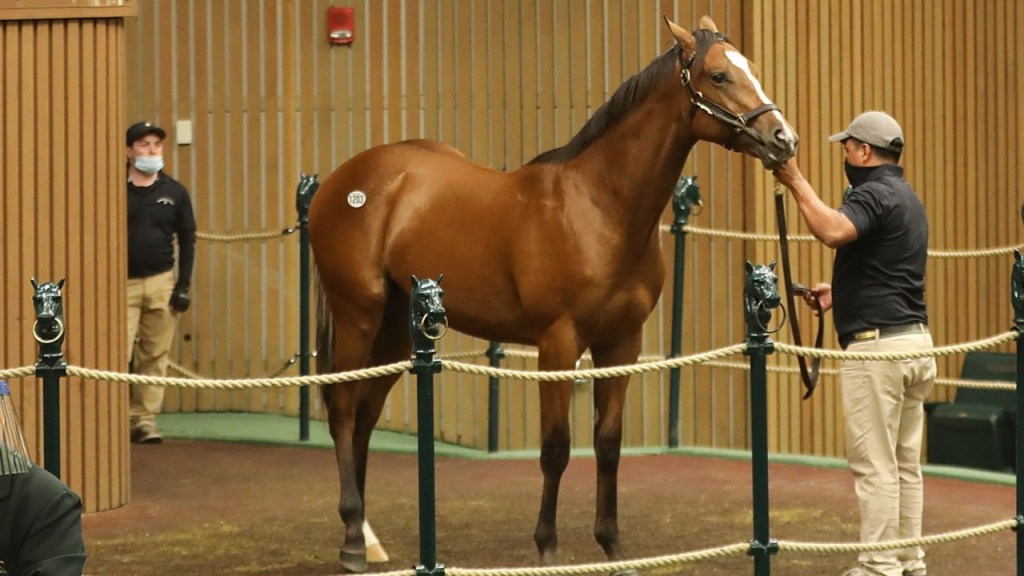 每日賽馬晚報（2020年9月18日），愛爾蘭終開放馬主進場，兩大轉播賽預賽焦點馬