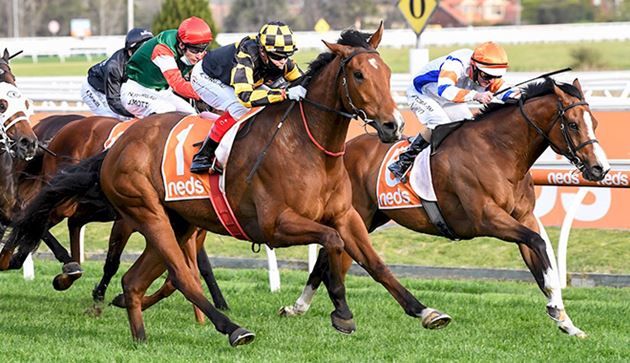 羅拔奇勒爵士錦標,Behemoth不怕重磅受壓