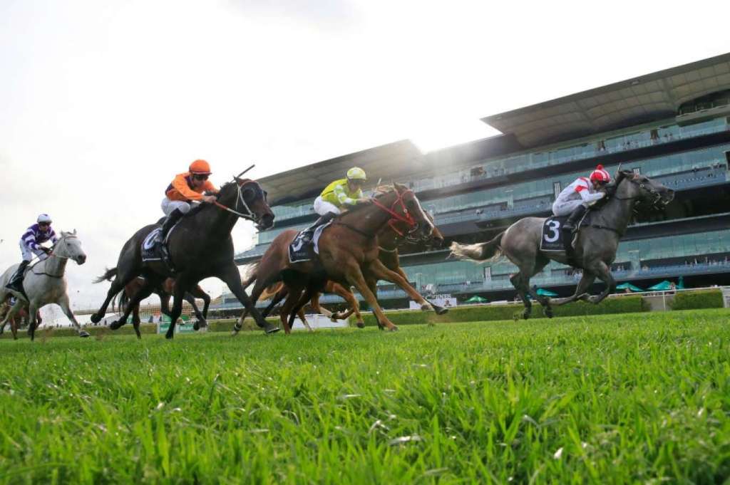 每日賽馬晚報（2020年10月13日），雲絲仙子首胎流產，川河達駒以大熱身份登珠峰
