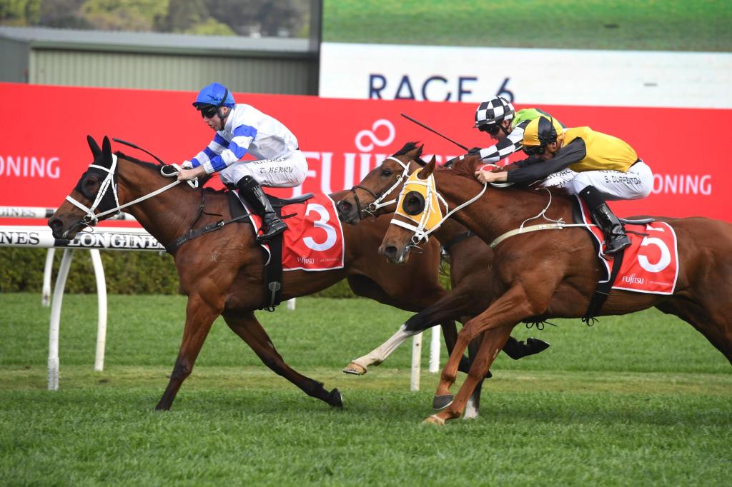 佐治文斯錦標，科靈港等大半年終於復活贏番場，川河達駒珠峰前哨戰發揮強橫後上