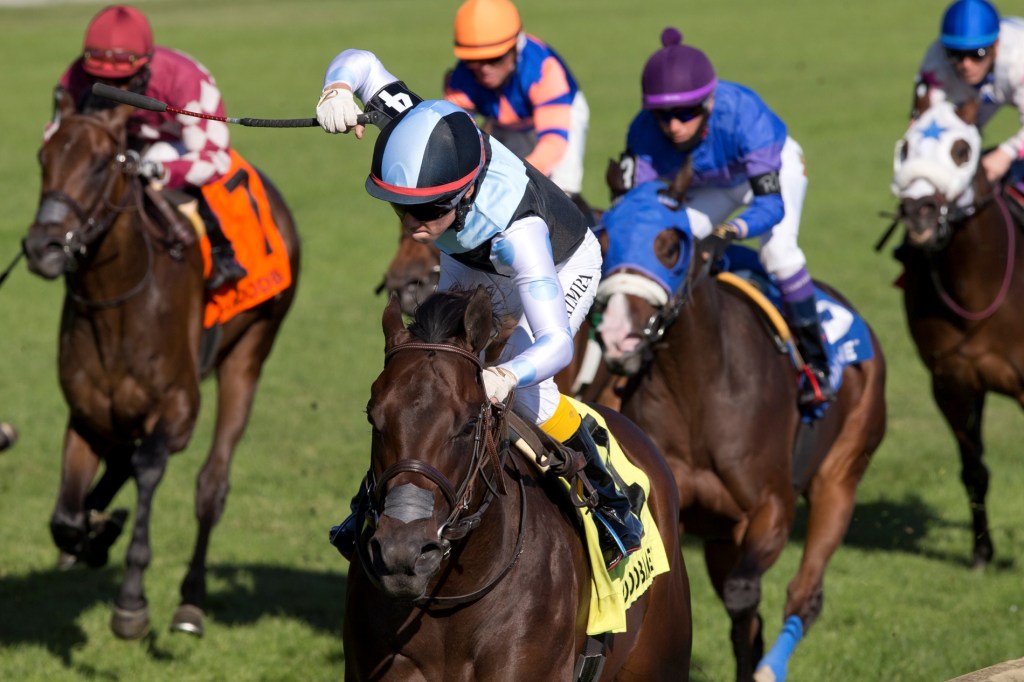 每日賽馬晚報(2020年9月21日),綠化帶試閘發脾氣,加拿大日本猛將木村和士初勝一級賽