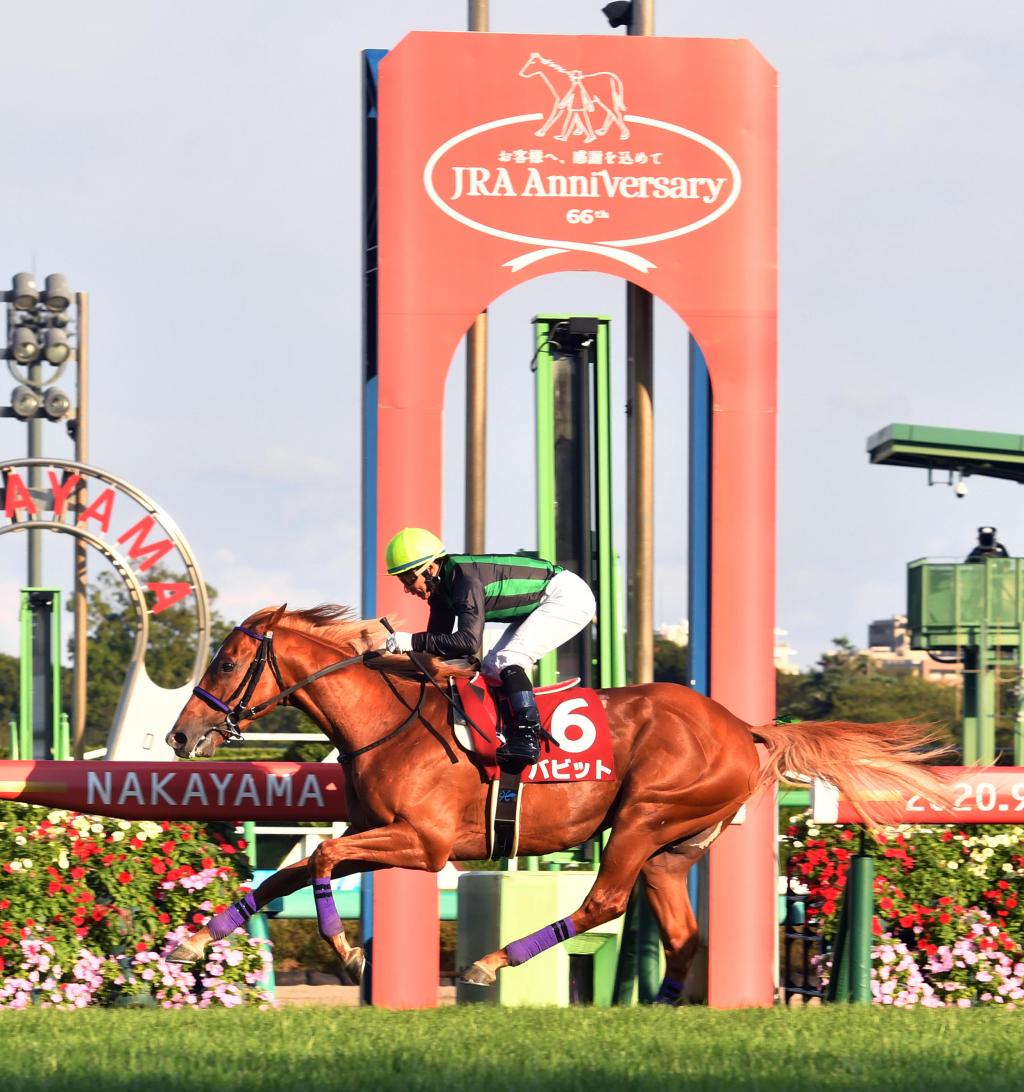 聖列特紀念賽,Babbitt對手增強照樣放到底