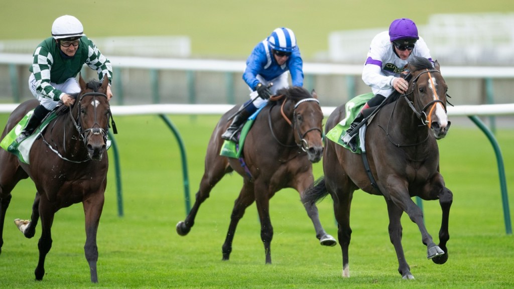 中央公園錦標，馬物事子嗣真的Supremacy！