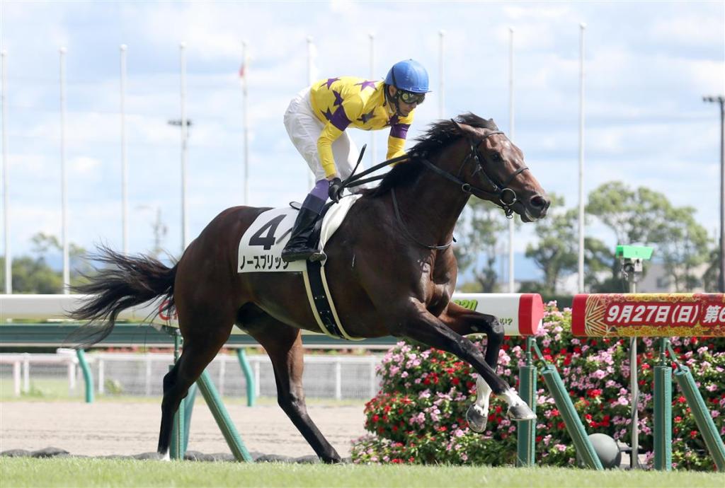 每日賽馬晚報（2020年9月27日），布文率先準備殺入維省，Maximum Security敗給自己