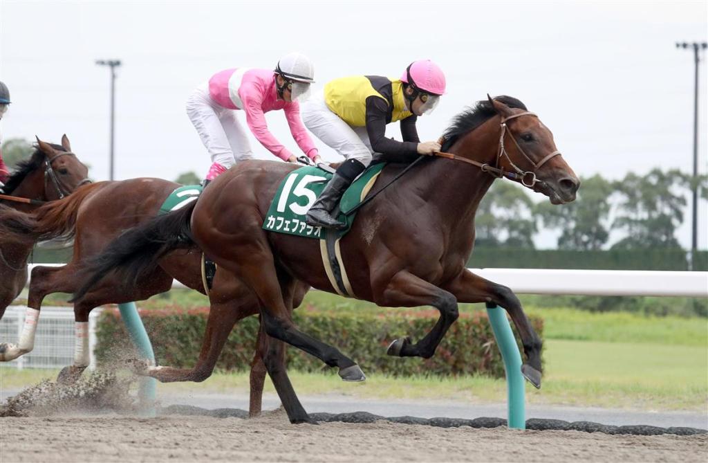 每日賽馬晚報（2021年2月19日），李寶利等馬圈人士被沙地阿拉伯防疫機制趕下機，戰舞者最終決定留在日本