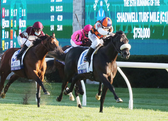 育馬者盃一哩大賽,有力影響大局的南美奇兵愛中及逸帆影