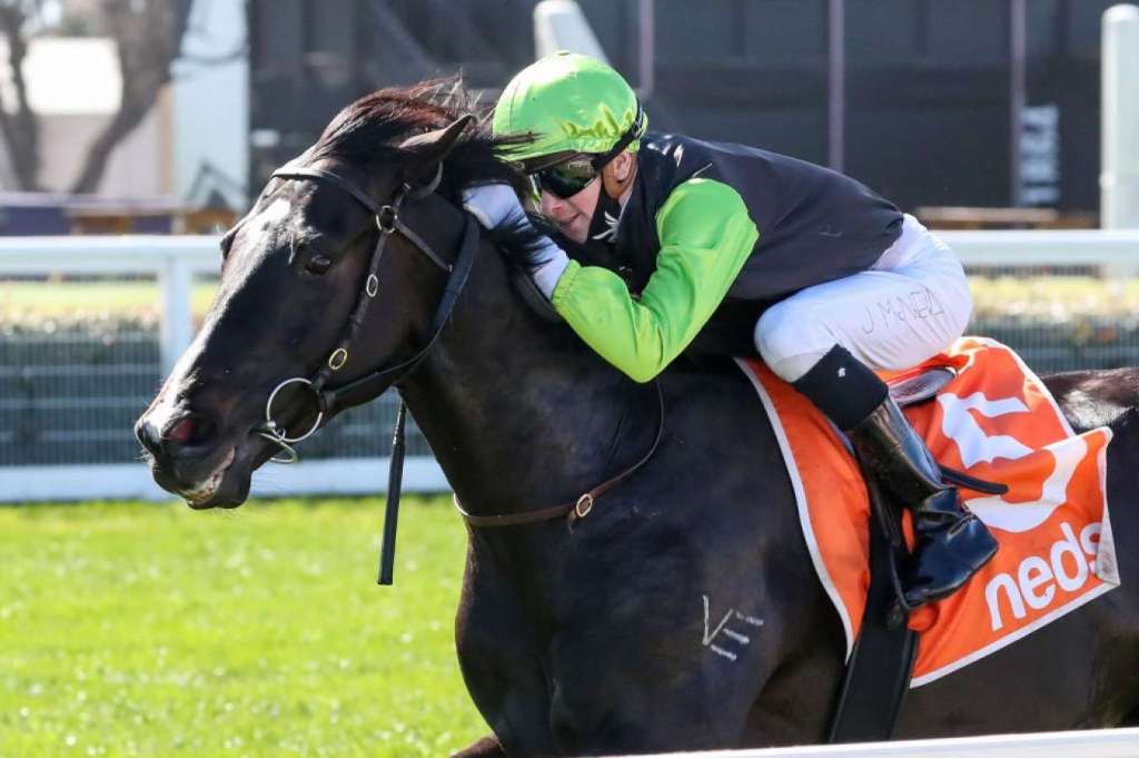 墨爾本盃自動資格者之一霸統