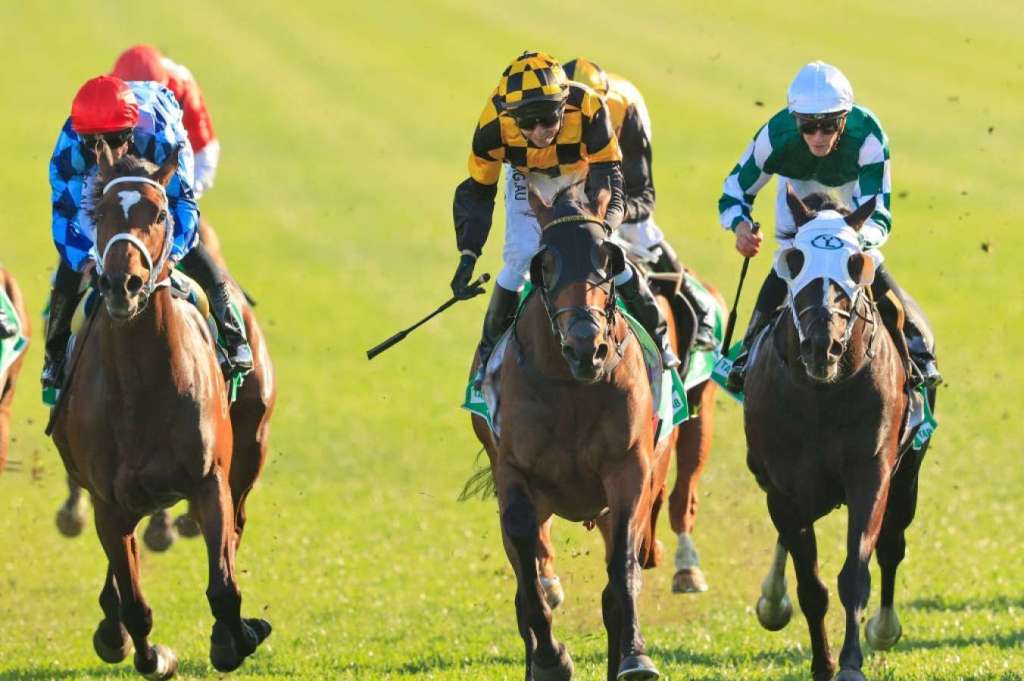 每日賽馬晚報（2021年2月1日），投機法寶週六上陣，三勝分級賽大場面退役