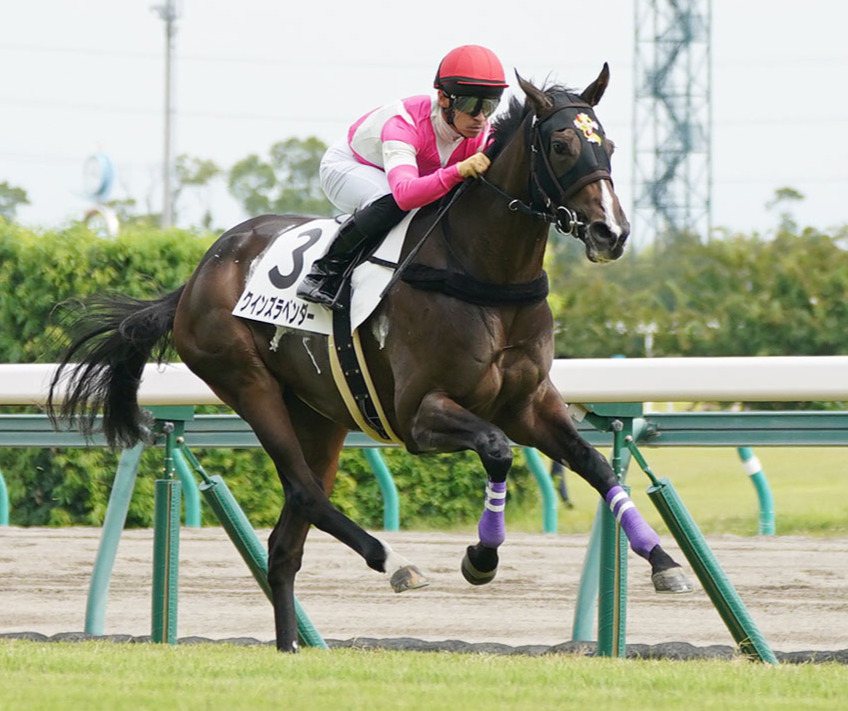 每日賽馬晚報（2020年10月6日），Into Mischief種費節節上漲，日本週末新馬賽指標