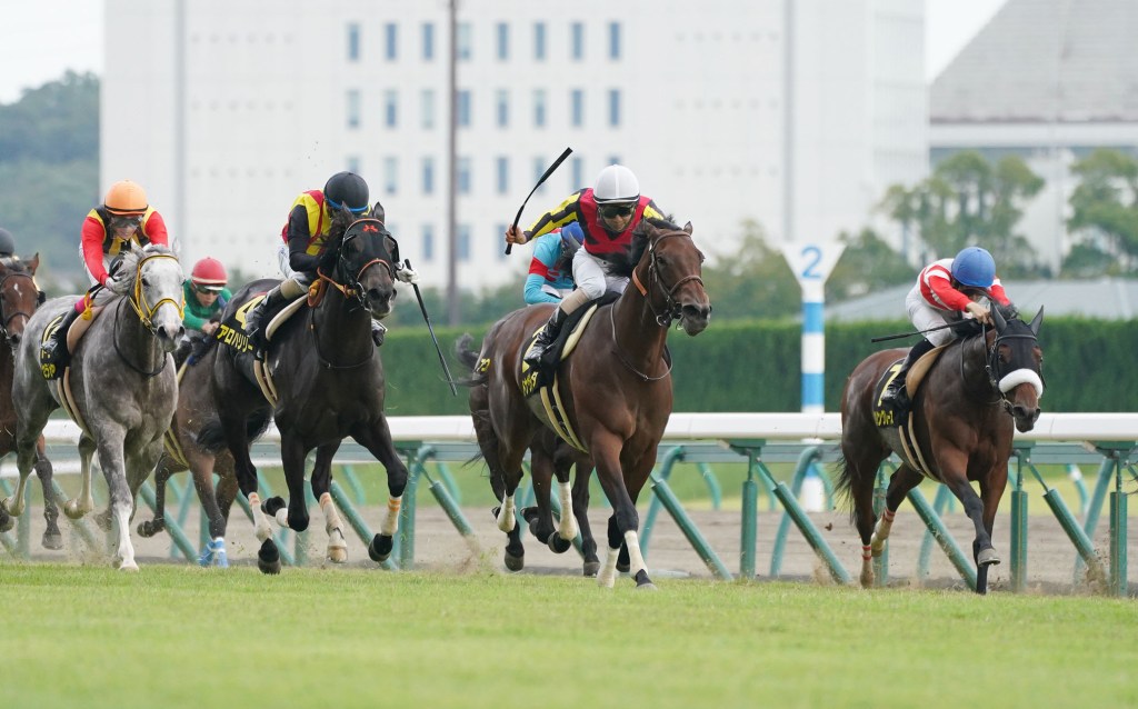 每日賽馬晚報（2020年10月5日），飼料風波擴大至澳洲戰線，秋華賞報名馬公開