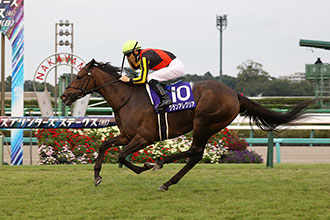 短途馬錦標，放聲歡呼最後200米解決你