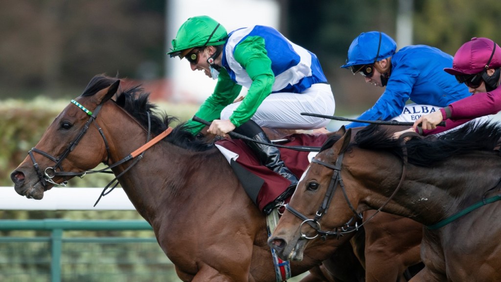 每日賽馬晚報（2020年11月6日），我作主直接退役，俄式帝堡不想再墨爾本盃