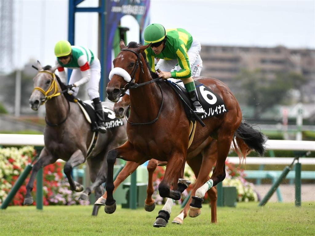 每日賽馬晚報（2022年2月11日），里見女尊提早退役，布達德停賽期再延長半年
