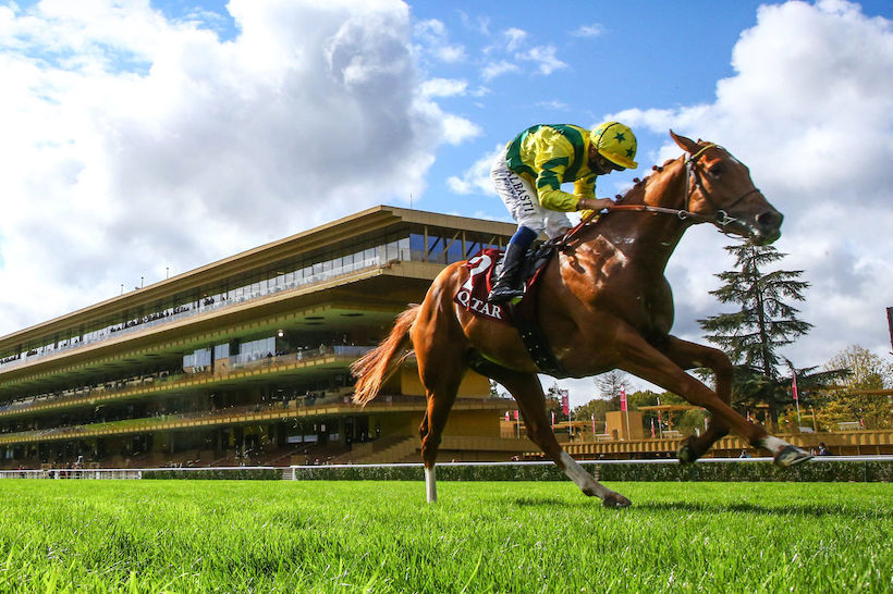 百屆凱旋門大對決,笑裡藏刀笑來威