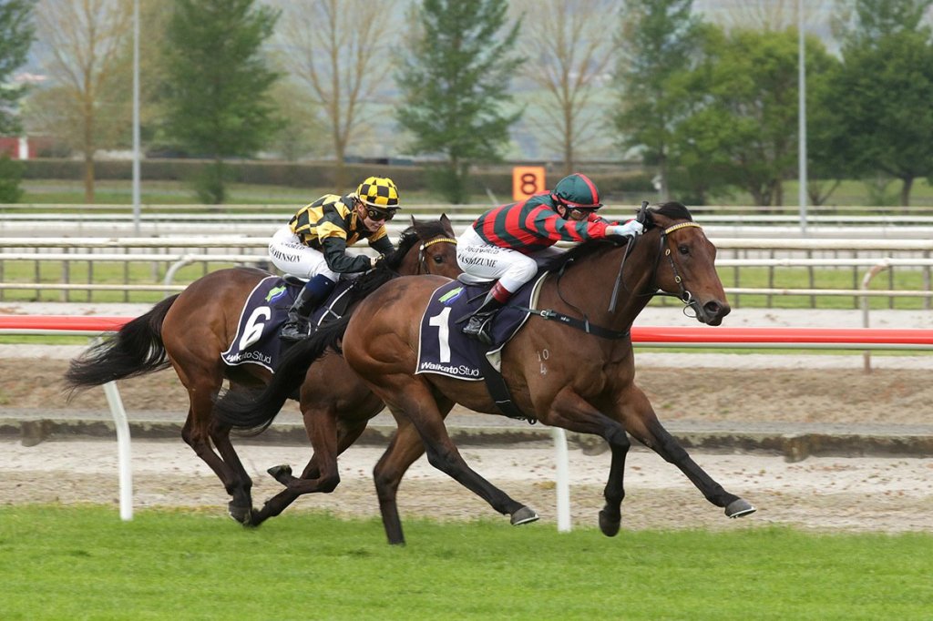每日賽馬晚報（2020年10月12日），穆朗瑪峰錦標的終極補位，夏日通道返回紐西蘭隨即取勝