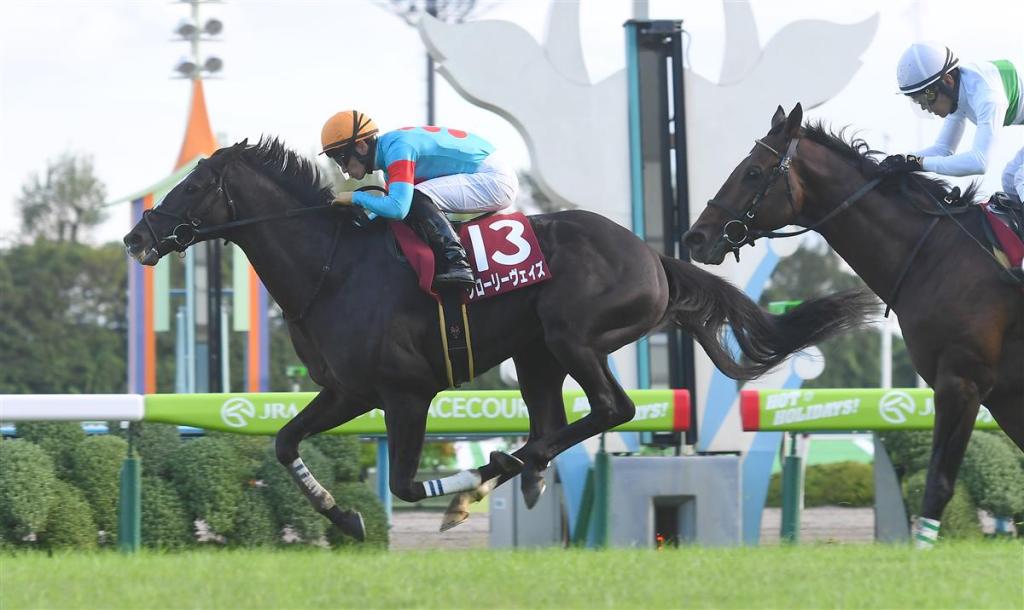 京都大賞典，耀滿瓶重新反撲