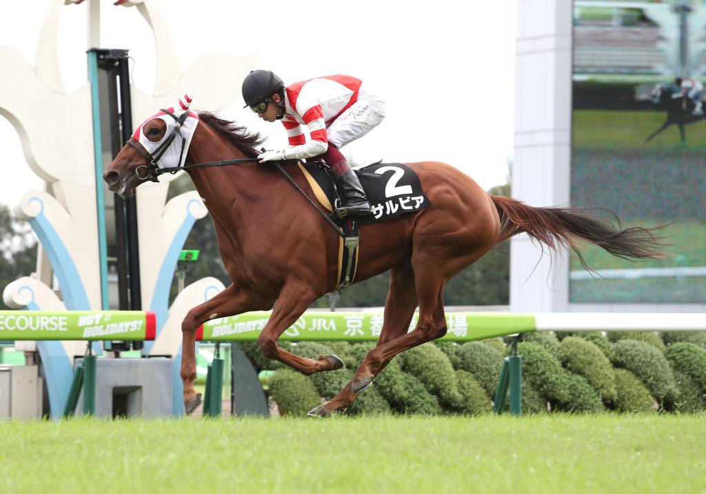 每日賽馬晚報（2020年10月11日），魚子精華同母家族童夢奇才繼續跑發力，發力猛衝或有機會征戰亞洲