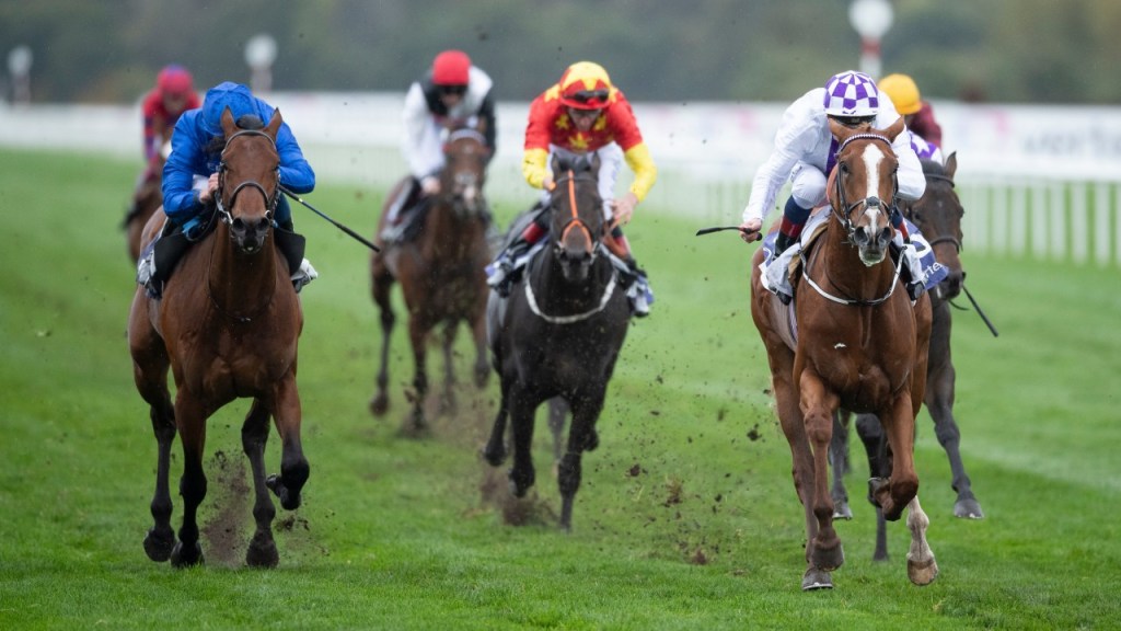 威騰未來錦標，Mac Swiney趁最大對手不在贏一場