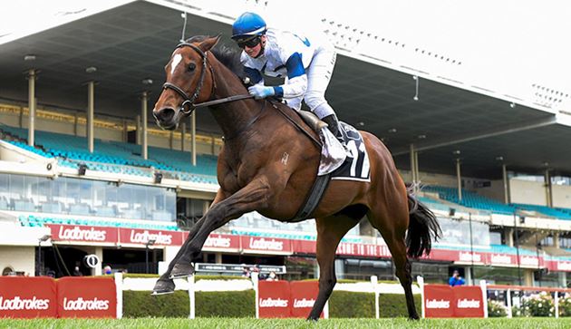 每日賽馬晚報（2021年3月21日），歐洲平地賽回歸特輯，岳禮華取代柏威廉進軍玫瑰崗