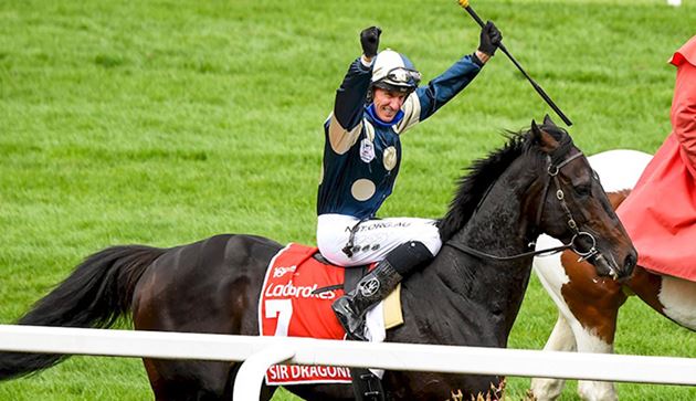 每日賽馬晚報（2021年3月9日），高仕登兒子開始從練，龍子爵繼續參加明星一哩賽