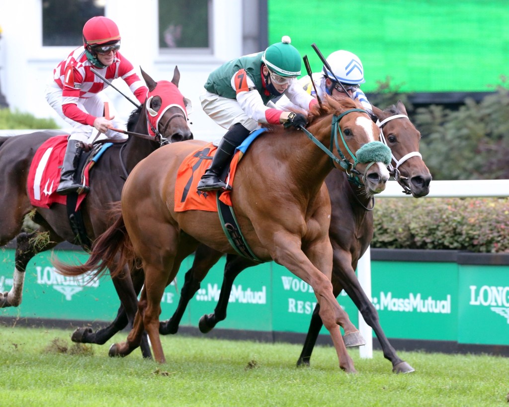 每日賽馬晚報（2020年10月27日），金鷹錦標熱門馬排外檔，黃銅公子子嗣試閘大勝14個馬位