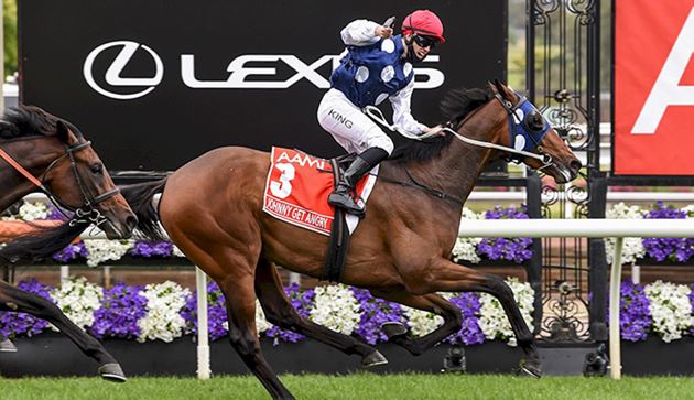 每日賽馬晚報（2020年10月31日）延遲更新版，運往西班牙馬匹發生慘劇，澳式足球教練僅數個月從練贏G1