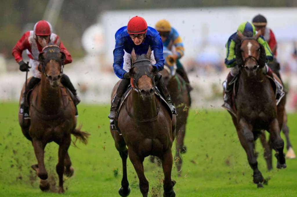 金鷹錦標，花都教主爛地夠強韌