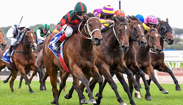 威利系九月飛馳能否在史密夫錦標重新站起?