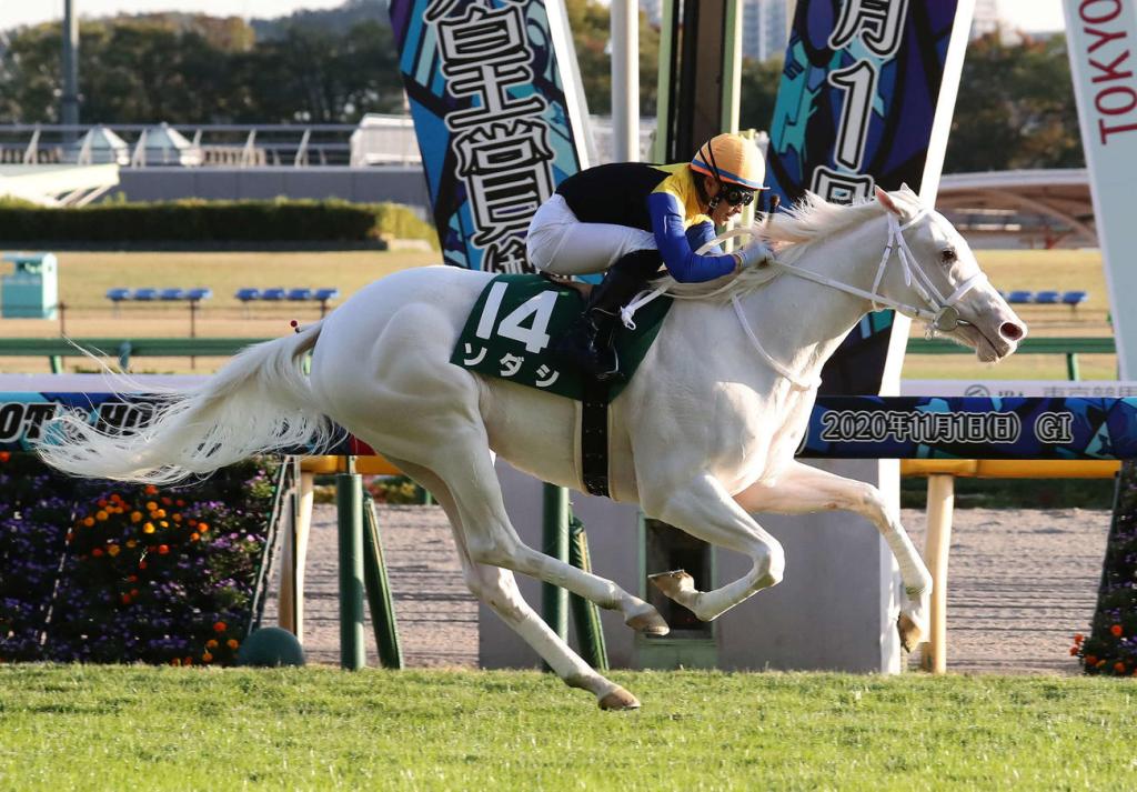 每日賽馬晚報（2020年12月11日），潘頓推測錯誤罰四萬，Princess Zoe2021有機會跑凱旋門大賽
