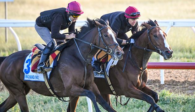 每日賽馬晚報（2020年10月22日），香港國際賽杜拜嘉年華作好準備，高多芬英國兩歲馬大閱兵