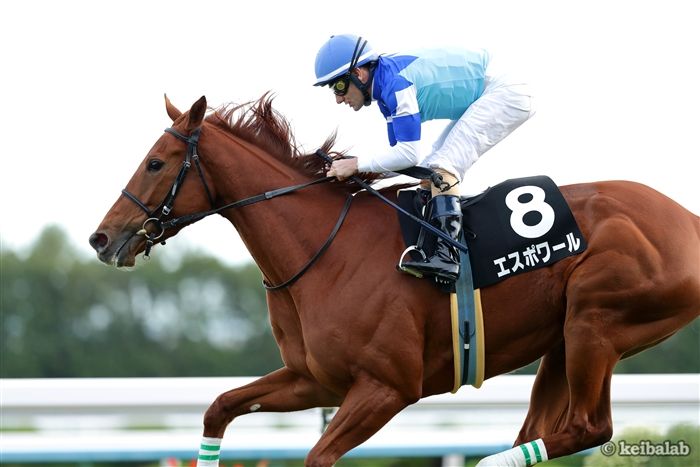 女皇伊利沙伯二世盃提早賽駒推介,秋華賞後保持穩定的希冀