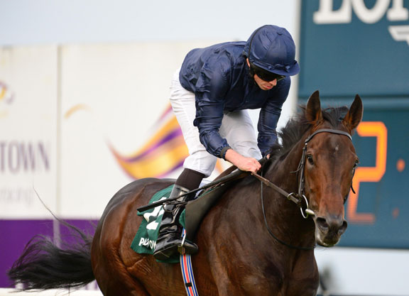 2020年11月3日墨爾本盃賽馬日各場推介