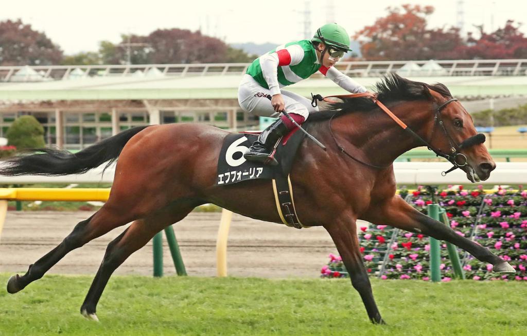 每日賽馬晚報(2020年11月9日),香港國際賽馬氣泡近成真,Monomoy Girl近乎八位數字成交