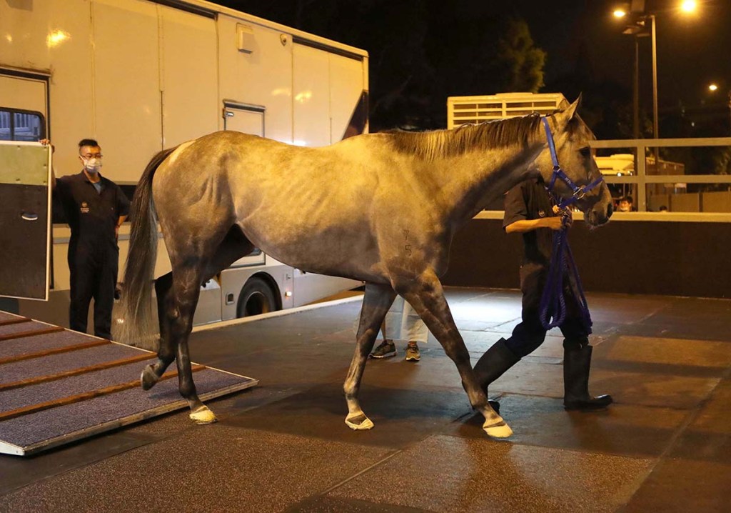 是日開始啟動國際賽模式
