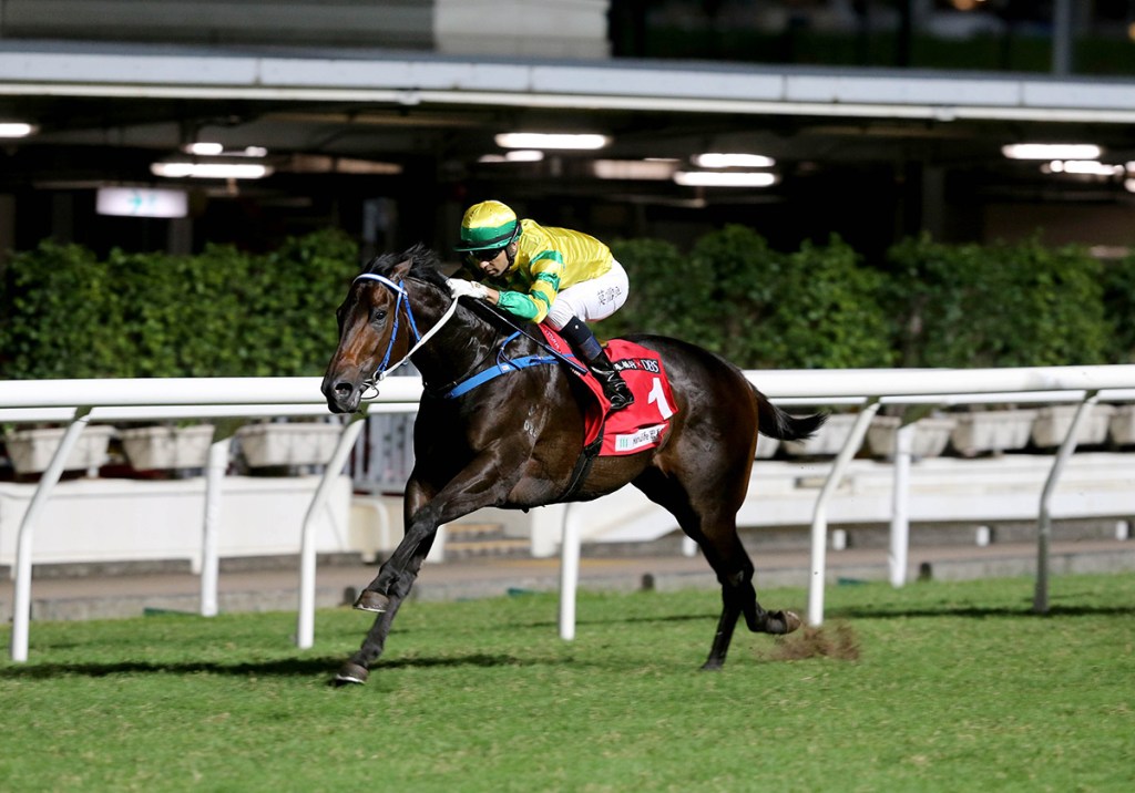 每日賽馬晚報(2020年11月12日),龍子爵或不去香港瓶,戲劇泰斗成英愛種馬新寵