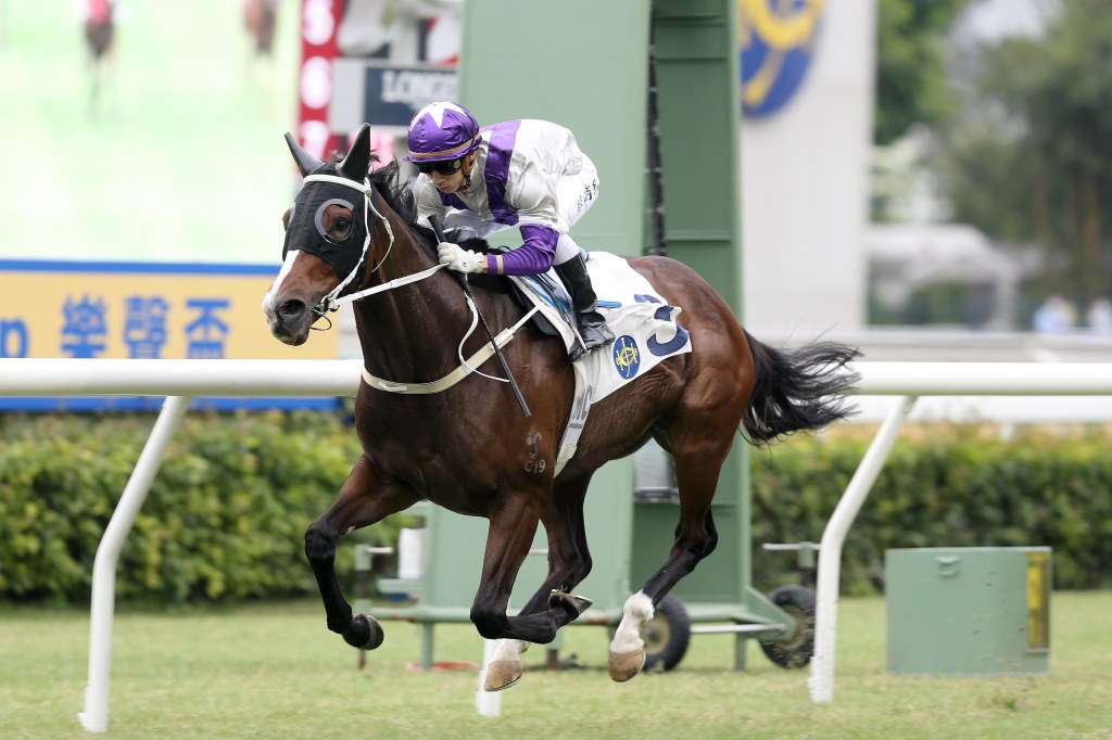 樂聲盃，二郎無飛落都可放到底