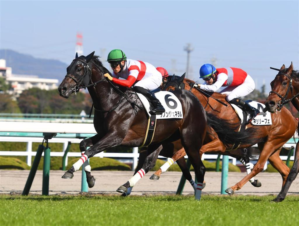 每日賽馬晚報（2020年11月15日），馬昆杜苑欣參加國際騎師錦標賽，池添謙一繞道福島稱霸中央賽場