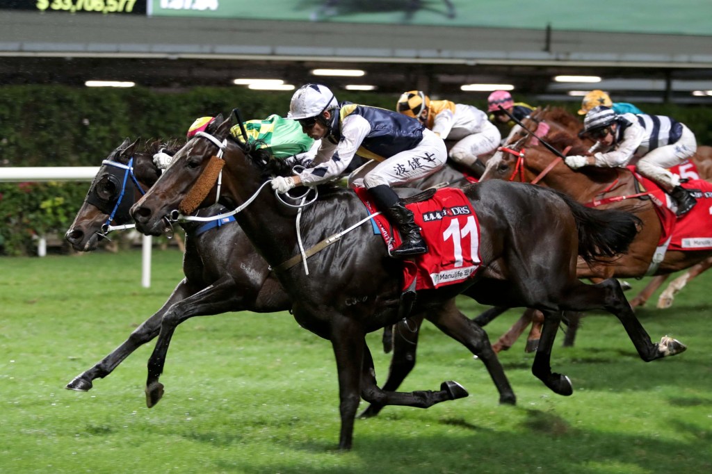 每日賽馬晚報（2020年11月19日），南澳封城下有限度維持賽馬活動，長山之馬今年無法上陣