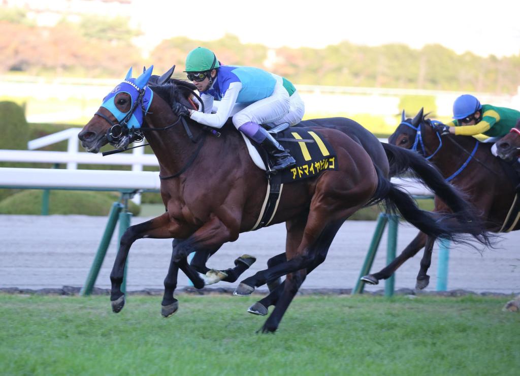 每日賽馬晚報(2021年1月15日),羅禮雅需休養六個月,滿樂時子嗣澳洲初勝利