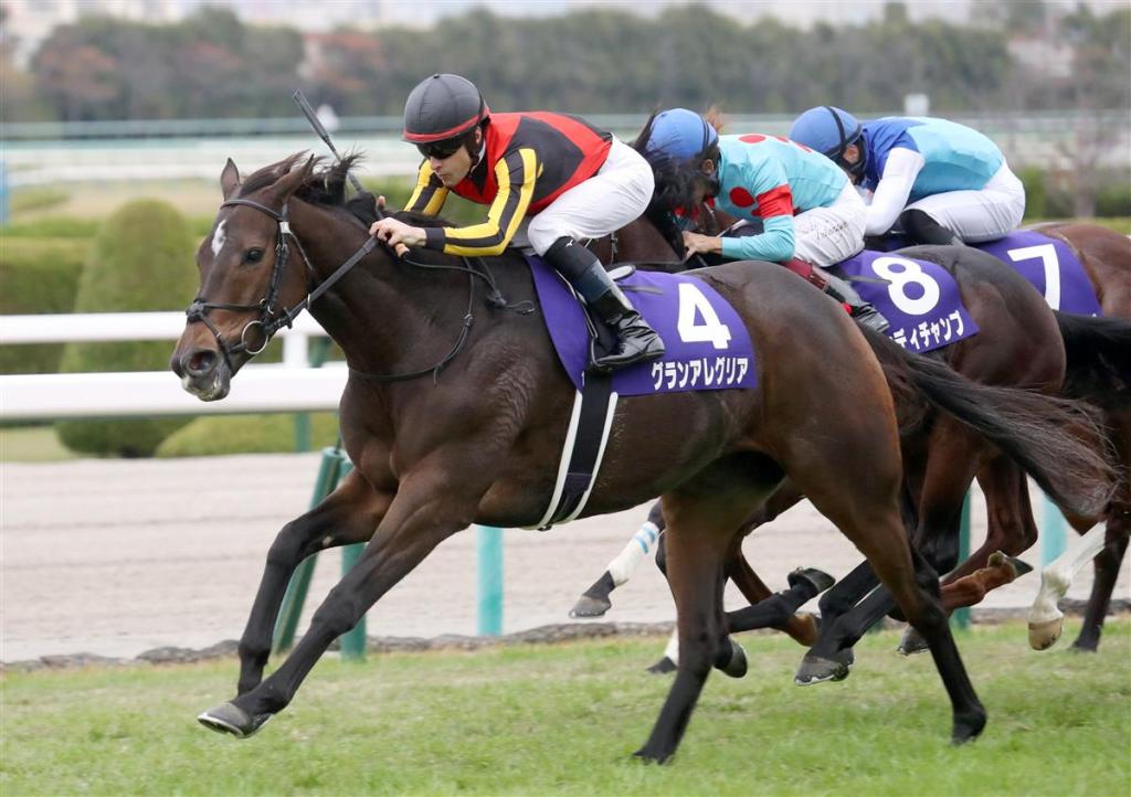 一哩冠軍賽，放聲歡呼有一化郎衝都夠贏