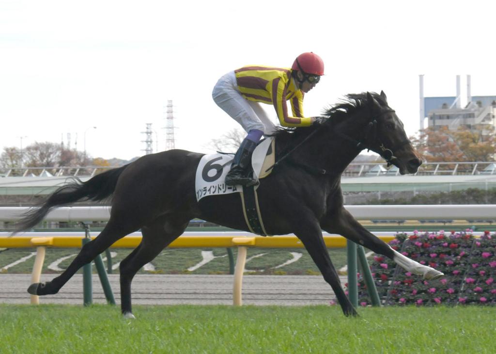 每日賽馬晚報（2020年11月23日），農神節慶退出日本盃，丹山夢女兒新馬賽一出即勝