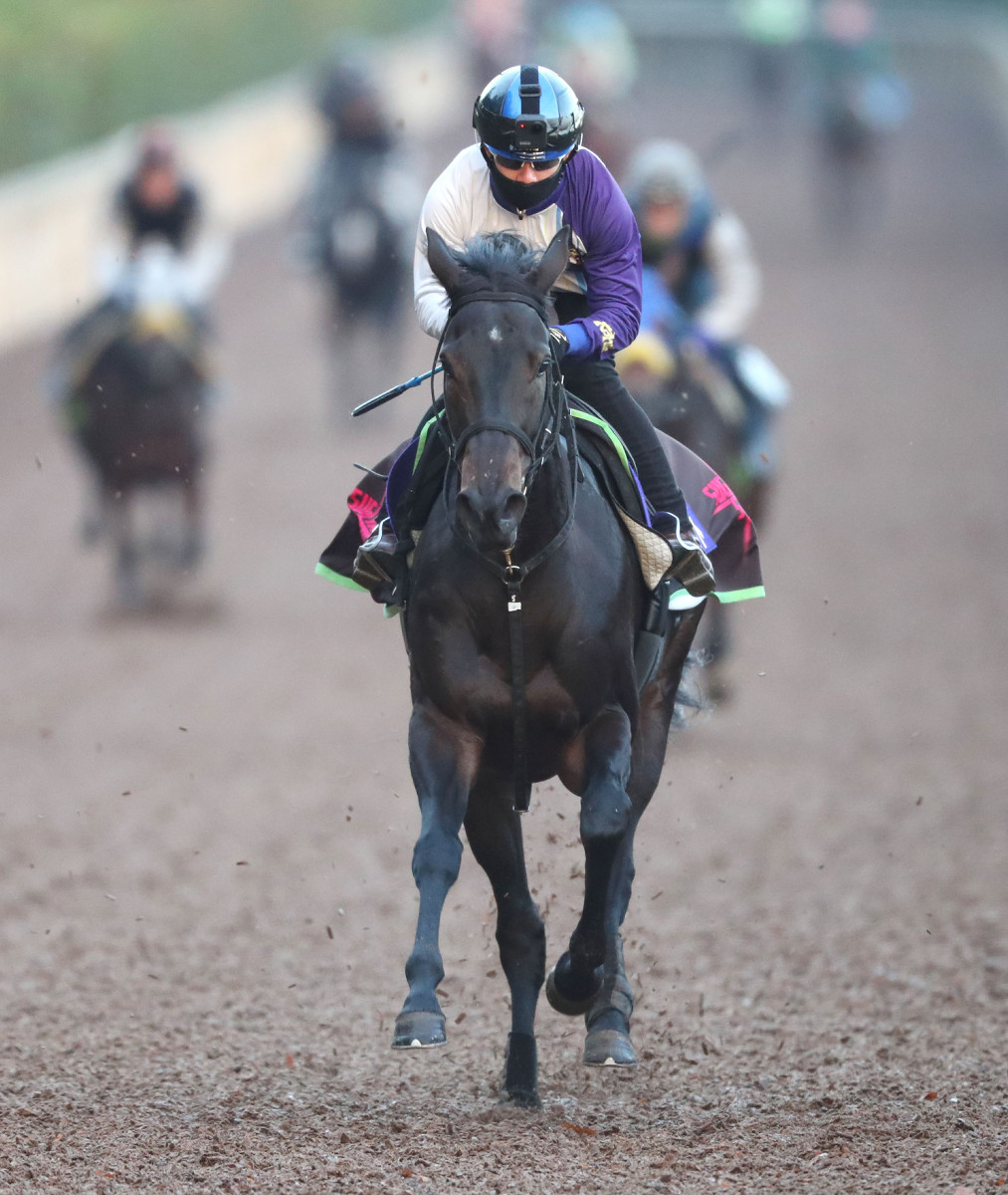 2020年11月29日賽馬日（10場田草泥混合、C跑道）、日本盃三強捨一之選